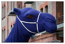 das Blaue Kamel - Erkennungszeichen der Blauen Karawane